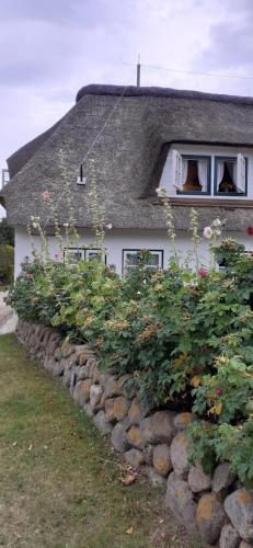 a house with a stone wall and some bushes at Seepferdchen in Nebel