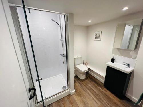 a bathroom with a shower and a toilet and a sink at Apartment 6 Sullivan House in Hereford