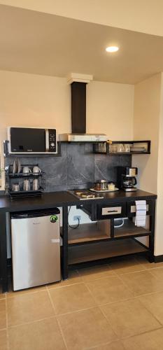 a kitchen with a stove and a microwave at SUITES LOMBOY & PLAZA in San José del Cabo