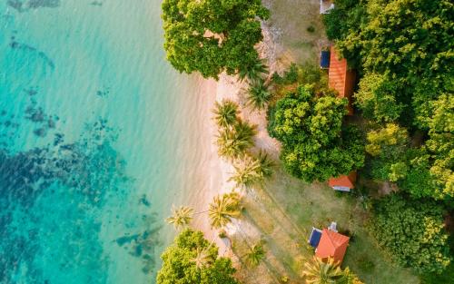 eine Luftblick auf einen Strand mit Palmen und das Meer in der Unterkunft Lazy Day The Resort in Ko Mak