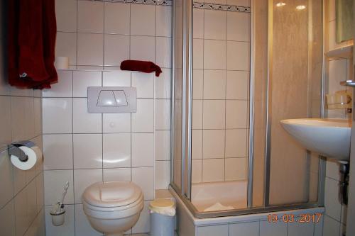 ein Bad mit einer Dusche, einem WC und einem Waschbecken in der Unterkunft Wilhelmstr.11 Whg, OG1 in Ahlbeck