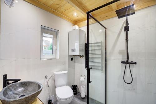a bathroom with a sink and a toilet and a shower at Domek Całoroczny Tylicz in Tylicz