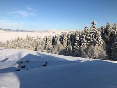 a snow covered hill with trees and a snowboard in the snow at Czarne Jodły in Jabłonka