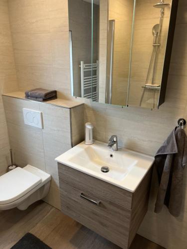 a bathroom with a sink and a toilet and a mirror at Gerolstein, Urlaub in der Eifel 2 - Ferienwohnung in Gerolstein