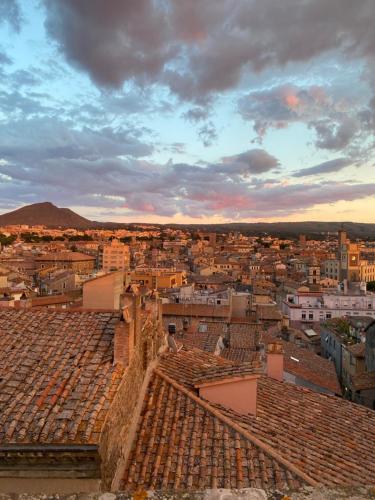 a view of a city from the roof of a building at SanFa Roof in Viterbo