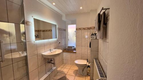 a bathroom with a sink and a toilet and a mirror at Ferienwohnung Freund & Berndt in Nermsdorf
