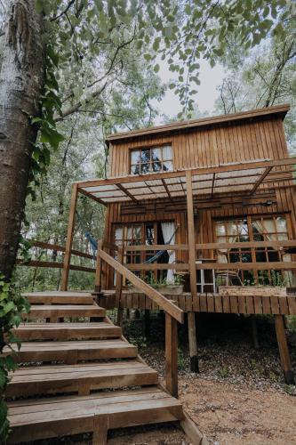 a tree house with stairs leading up to it at Cabañas en el Bosque a 5 minutos del mar - Estancia CH in Punta del Este