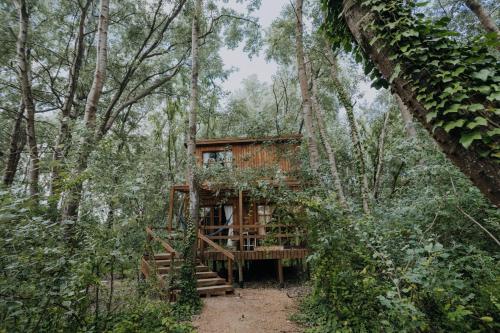 a tree house in the middle of the forest at Cabañas en el Bosque a 5 minutos del mar - Estancia CH in Punta del Este