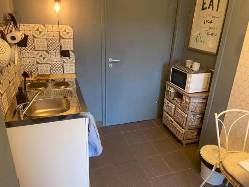 una cucina con lavandino e porta blu di Le petit 19 a Jodoigne