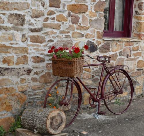 a bike parked next to a stone building with a basket of flowers at Casa Rural Tozolosolobos in Otero de Bodas