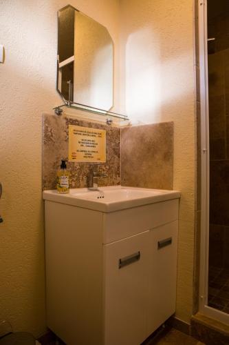 a bathroom with a sink and a mirror at ȘURA LU' PĂTRU in Vulcan