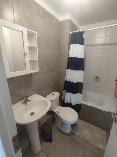 a bathroom with a sink and a toilet and a shower at Departamento por día 3 dormitorios y 2 baños in Arica