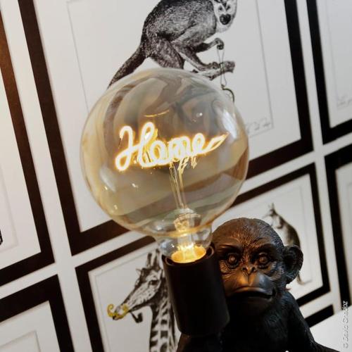 a glass lamp with a monkey on top of it at Maison « De Ville en Vigne » in Chenôve