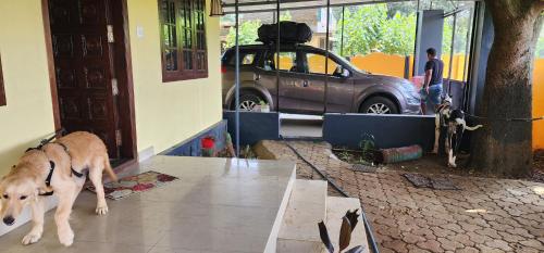 a dog standing outside of a building with a car at JJ's Holiday Home in Thanniyam