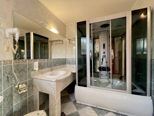 a bathroom with a sink and a large mirror at Vila Condor in Poiana Brasov