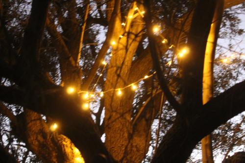 ダナにあるHobbit villageのギャラリーの写真