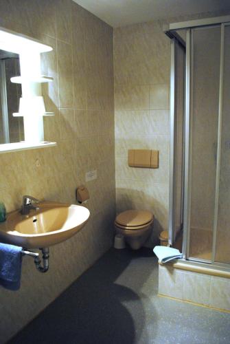 a bathroom with a sink and a toilet at Haus Kathrin in Zecherin