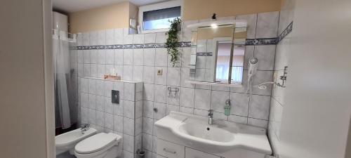 a bathroom with a sink and a toilet and a mirror at Fügefa Apartman in Balatonalmádi