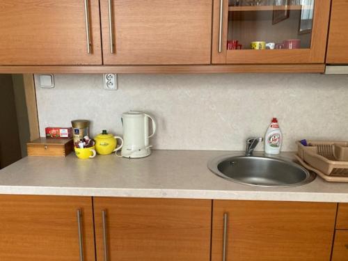 a kitchen counter with a sink and a mixer at Aparthotel City 5 in Prague