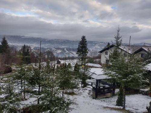 a picnic table in the snow in front of a house at Alpina Panoramic in Moisei
