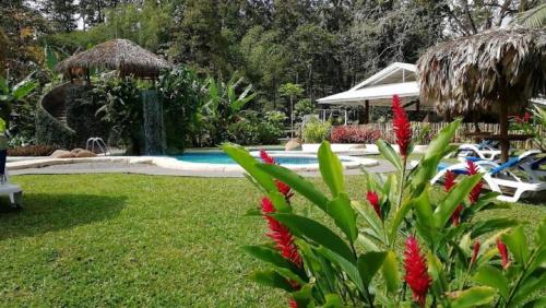 a garden with a swimming pool and red flowers at Villas del Caribe in Puerto Viejo