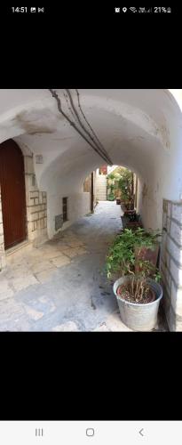 Φωτογραφία από το άλμπουμ του QUART0 GREC0 Suite 15 σε Altamura