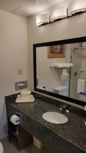 a bathroom with a sink and a large mirror at Comfort Suites Cumming-Atlanta near Northside Hospital Forsyth in Cumming