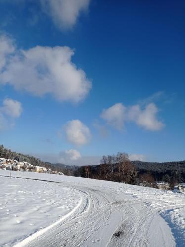a snow covered field with tracks in the snow at Ferienhaus am Bach in Achslach