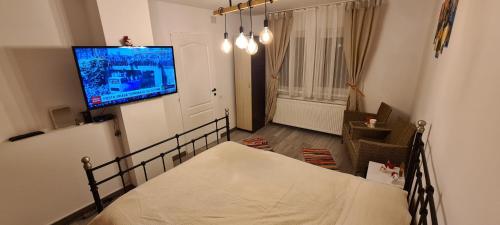 um quarto com uma cama e uma televisão na parede em Studio OnE Lupeni em Lupeni