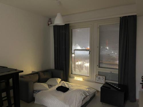 a living room with a couch and a bed at Arctic Penthouse Studio with FREE parking and high-speed Wi-Fi in Rovaniemi