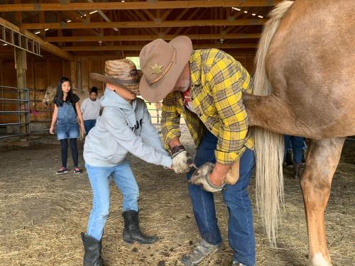 Tetamu yang menginap di Montana Hill Guest Ranch