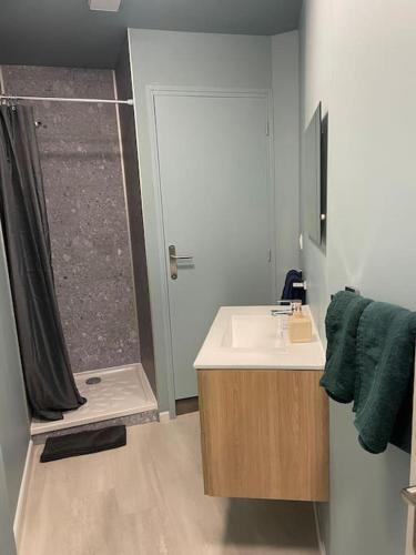 Koupelna v ubytování Appartement spacieux