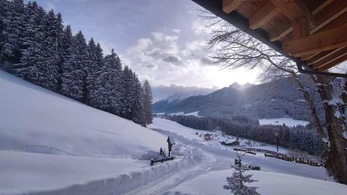 Haubenthal – Photos 3