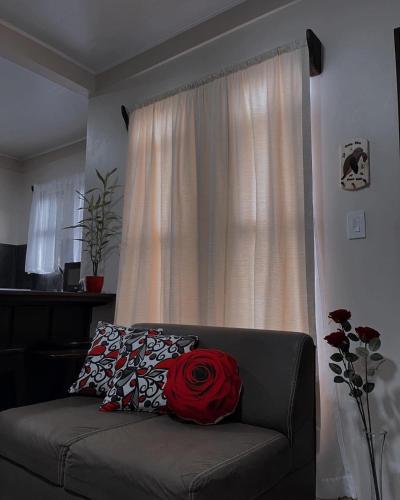 una rosa roja sentada en un sofá frente a una ventana en Honey House 2017 en Fortuna