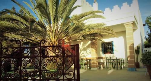 a gate with a palm tree in front of a building at Hotel Villa Soleil in Sidi Kaouki