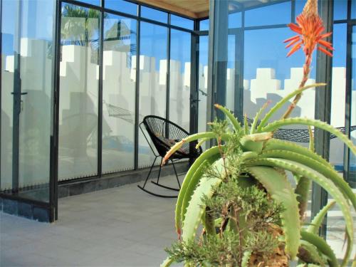 a patio with a chair and a plant in a building at Hotel Villa Soleil in Sidi Kaouki