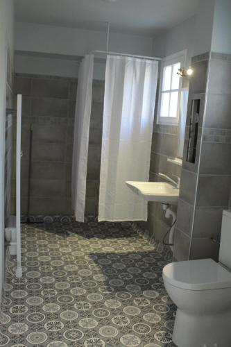 y baño con aseo, lavabo y ducha. en Gîte Chez Louve Bleue 3 étoiles-Label Tourisme et Hand, en Le Grand-Abergement