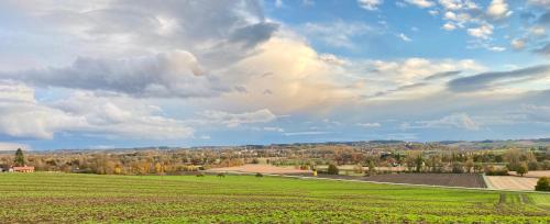 a green field with a road in the middle at Gut Schwarz-n Hof Ferienwohnungen in Bad Griesbach