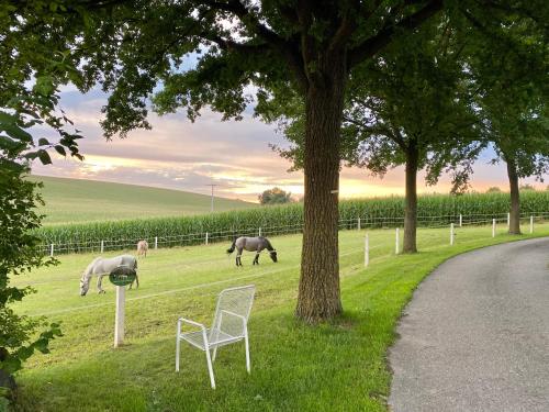 two horses grazing in a field with a tree and chairs at Gut Schwarz-n Hof Ferienwohnungen in Bad Griesbach