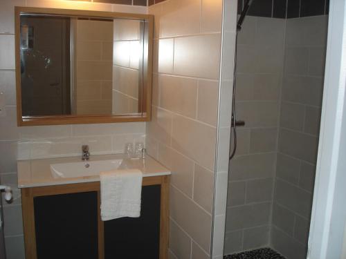 uma casa de banho com um lavatório e um chuveiro com um espelho. em Auberge des Myrtilles em Saint-Bonnet-le-Froid