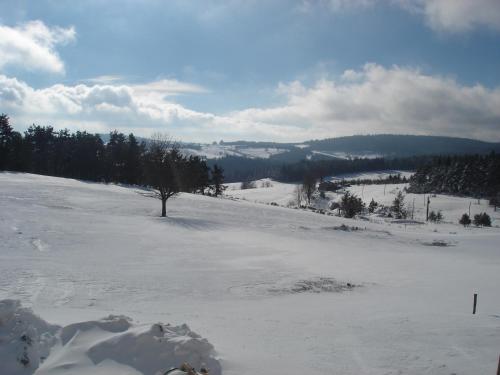 a snow covered hill with a tree on top of it at Auberge des Myrtilles in Saint-Bonnet-le-Froid