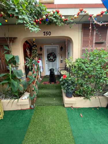a house with a black cat sitting in the front yard at Habitación Céntrica calle 8 Miami in Miami