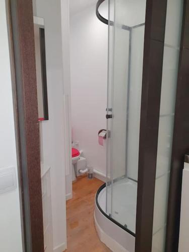 La salle de bains est pourvue d'une douche en verre et de toilettes. dans l'établissement Studio Centre village, à Bandol