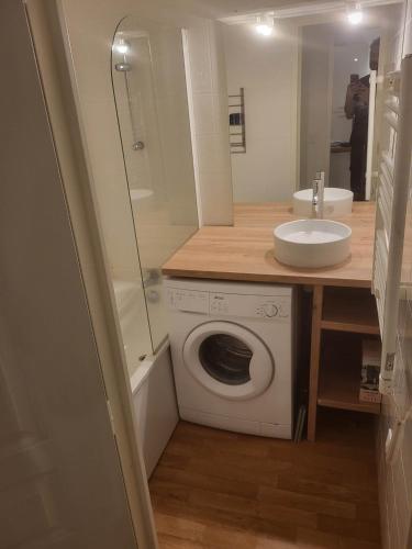une salle de bain avec un lavabo et une machine à laver dans l'établissement Appartement 2 pièces, les Chalets de Super-Besse, à Besse-et-Saint-Anastaise