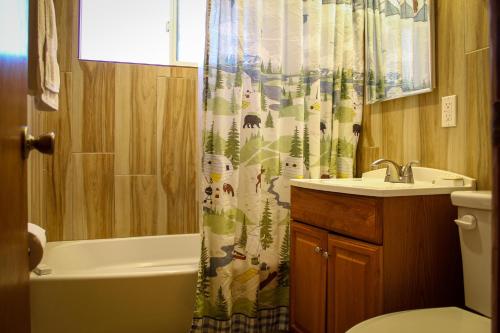 uma casa de banho com um lavatório e uma cortina de chuveiro em VILLAGE HOT SPOT - Walk to Village em Big Bear Lake