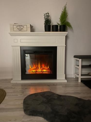 a fireplace in a living room with a fire at Cabana EvAy in Ocnele Mari