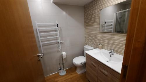 ブラガンサにあるApimonte City House Bのバスルーム(トイレ、洗面台、鏡付)