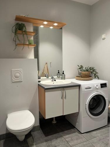a bathroom with a washing machine and a sink at North Estate Kræmervegen in Tromsø