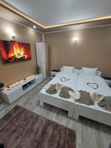 a large bedroom with two beds and a fireplace at Stan na Dan Jovanovic in Valjevo