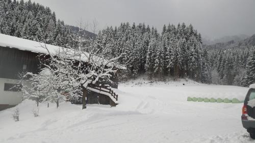 un cortile coperto da neve con una casa e alberi di Pension Schwaighof a Oberau